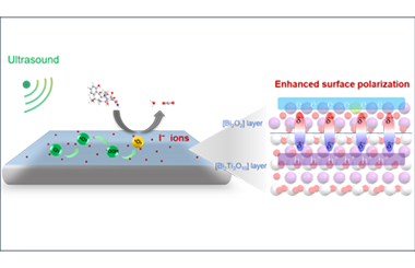 Engineering surface polarization on bismuth titanate for efficient piezo-catalytic water purification 2026.101053